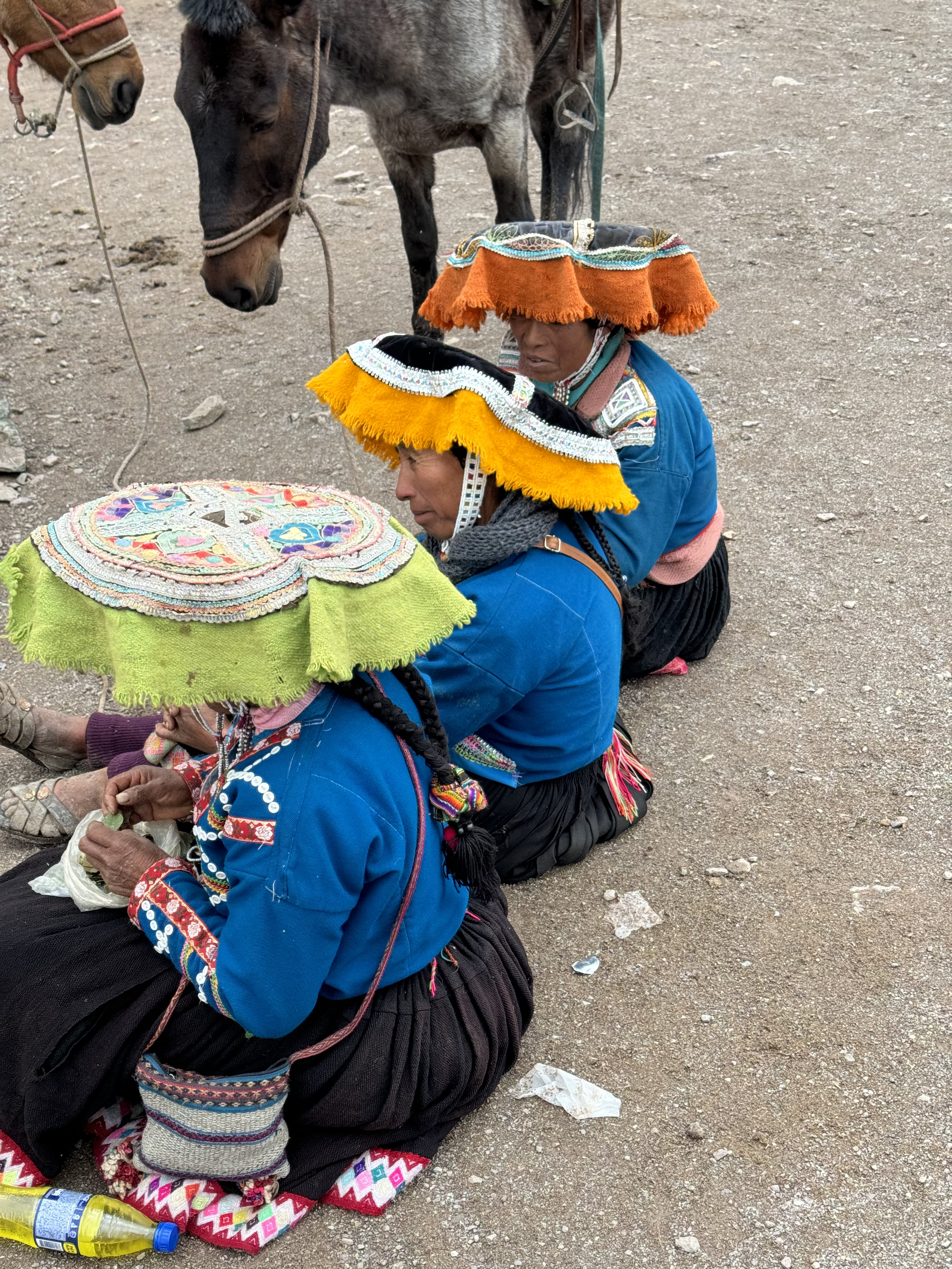 three women in traditional andean clothing with a pack animal, film photo