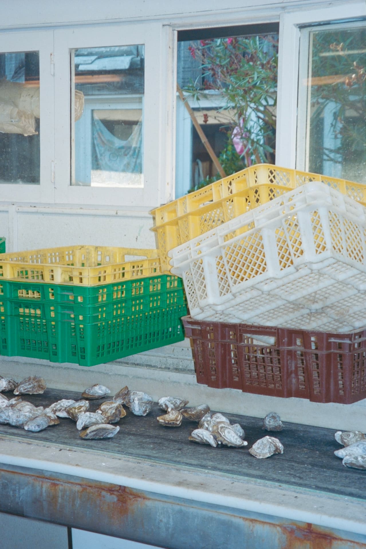 yellow, green and white oyster crates stacked before a cabin at l'herbe, cap ferret
